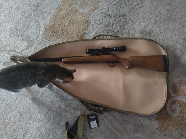A real photo din Geanta transport Swiss Arms Camo by Silviu (1)