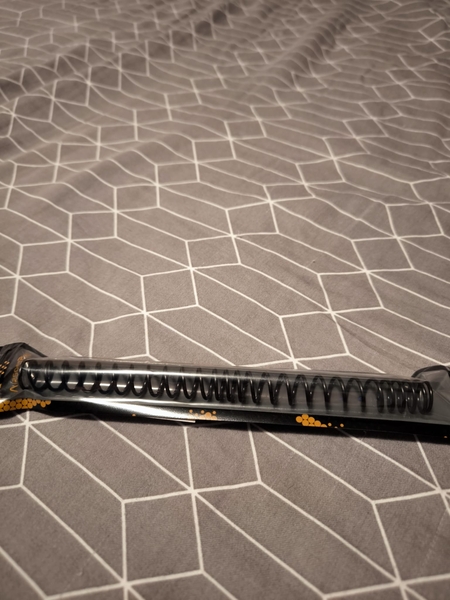 A real photo din Arc AEG 150MS progresiv Airsoftpro by Cosmin (3)