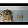 Casca FAST PJ Emerson Gear Multicam thumbnail