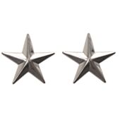 Insigna US 1 Star Gen Silver Rank Mil-Tec