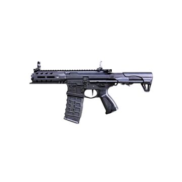 Replica asalt ARP 556 V2S G&G